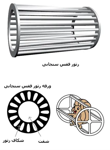 روتور قفس سنجابی