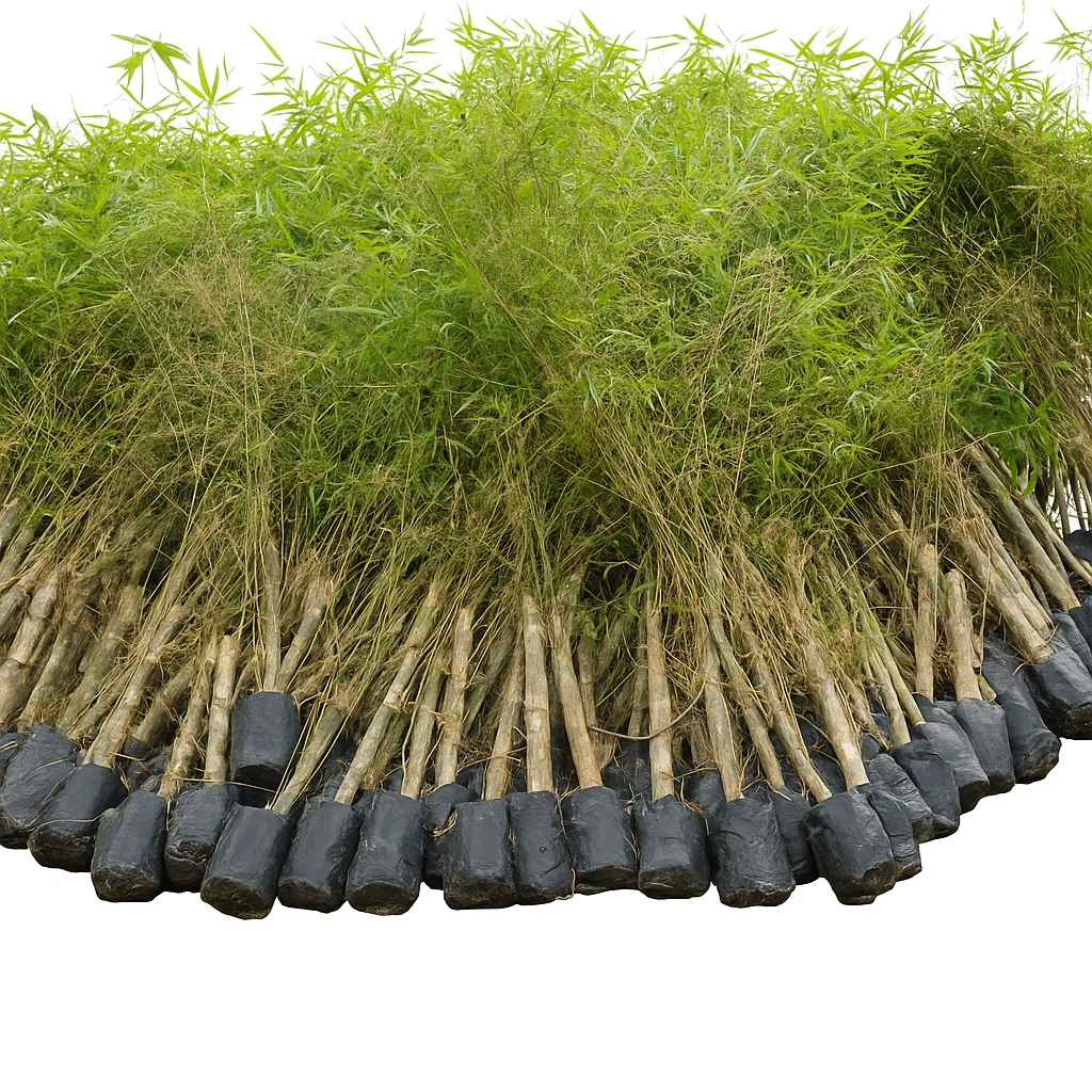 نایلون نهال نایلون نهال