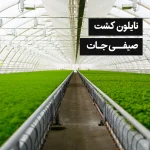 نایلون کشت صیفی جات