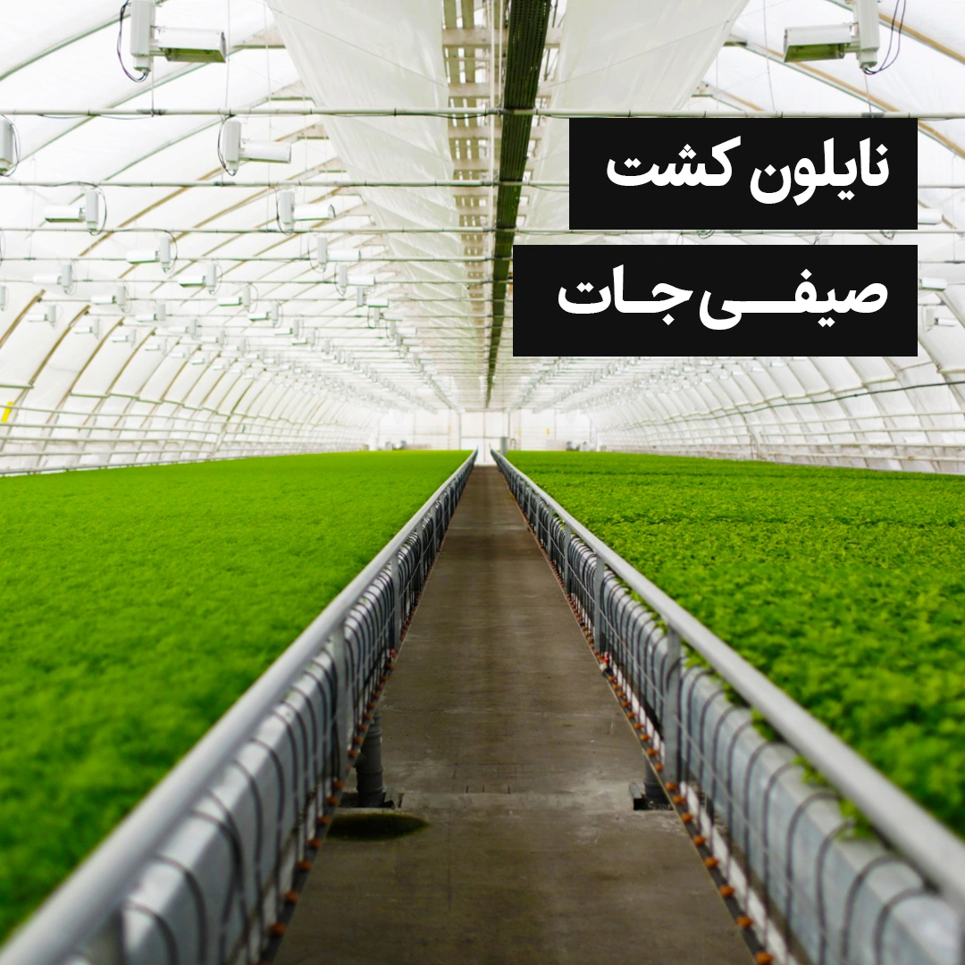 نایلون کشت صیفی جات نایلون کشت صیفی جات