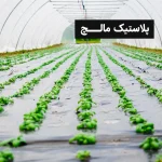 پلاستیک مالچ