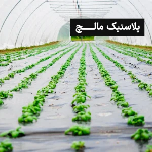 پلاستیک مالچ