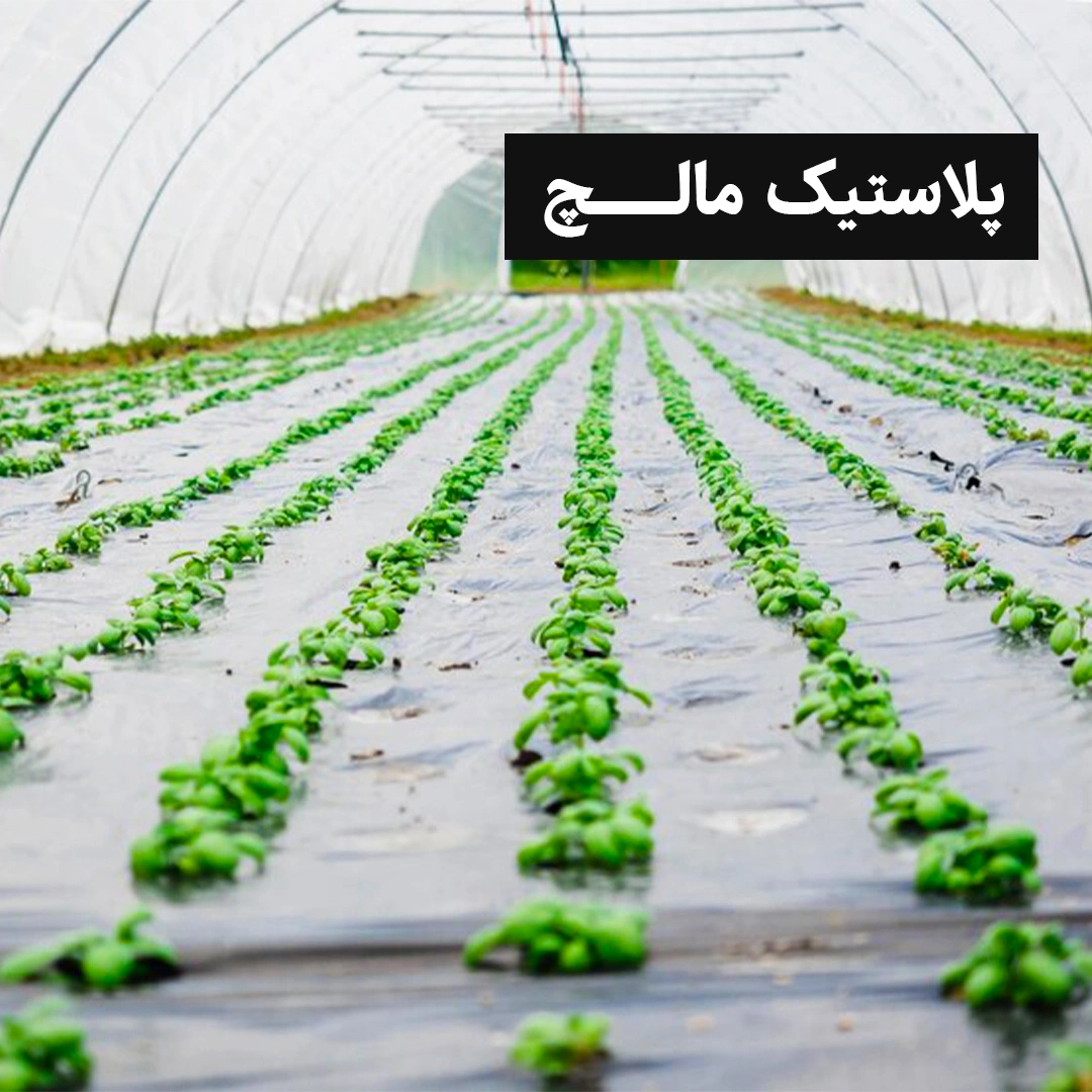 پلاستیک مالچ پلاستیک مالچ